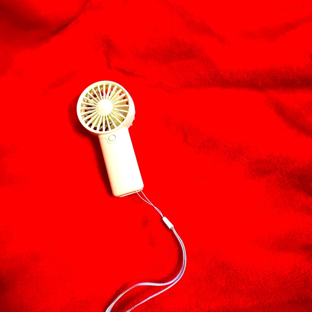 Portable fan